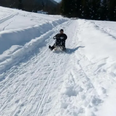 Вилла Tubej - Adults Only Бохинь