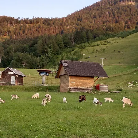 Vila Tubej - Adults Only *