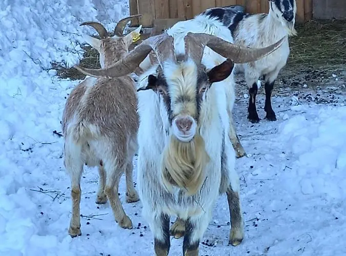 Tubej - Adults Only 别墅 博希尼