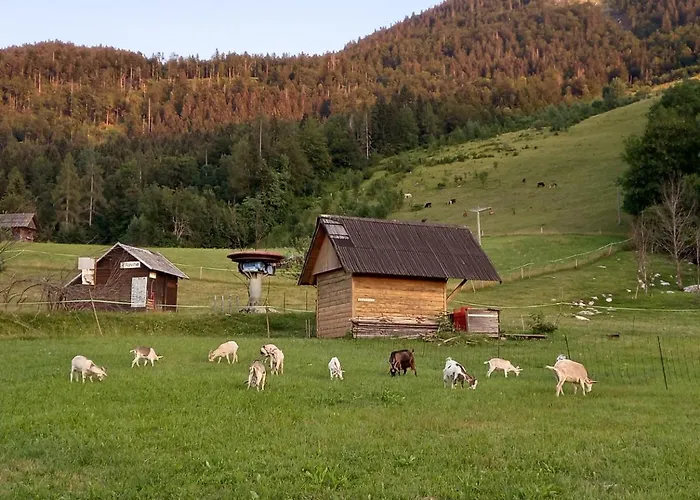 Вилла Tubej - Adults Only *